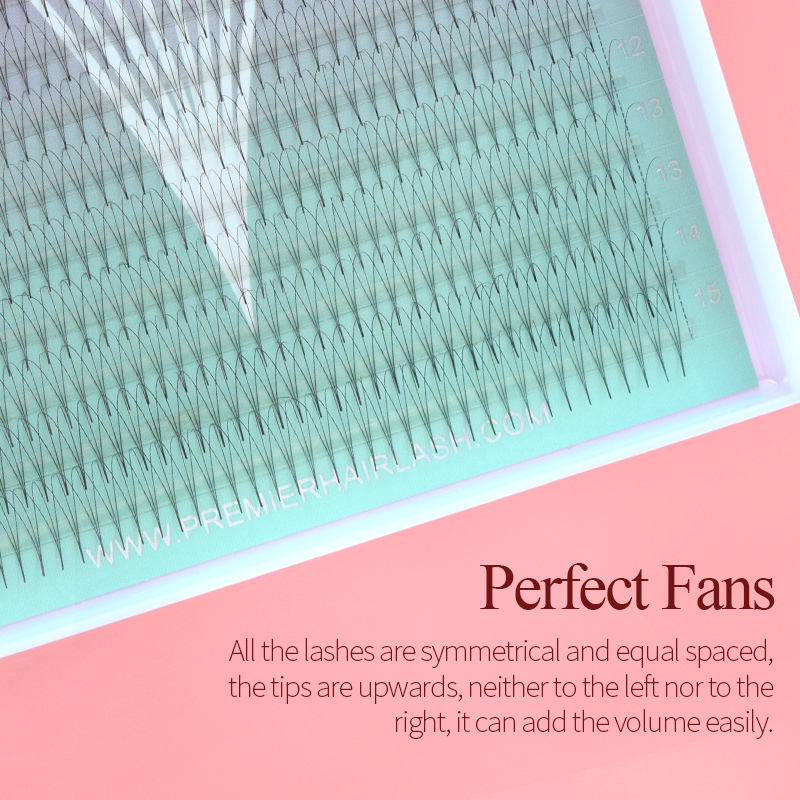 Song Lashes 3D8D10D Puntige Ba - Lash Fan Volume recensie en prijs
